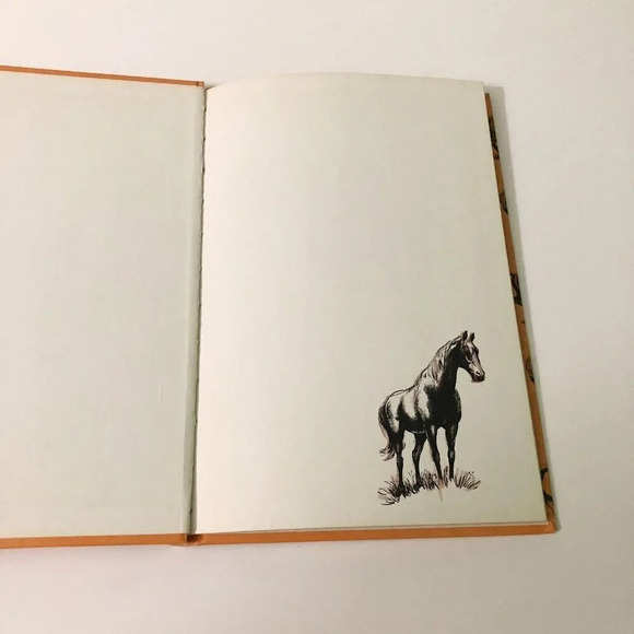 Vintage  1965 The History of the Horse by William DuPuy Hardcover Book - Picture 6 of 16